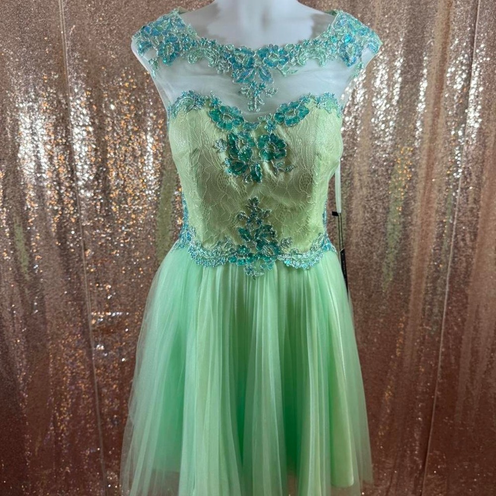 NWT Poly USA Green Tulle Floral Embroidered Dress with Scarf/Sizes M-L-XL